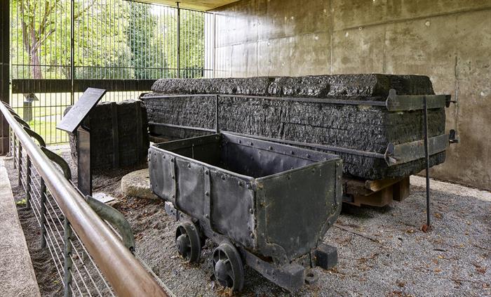 The largest block of coal you'll ever likely to witness.